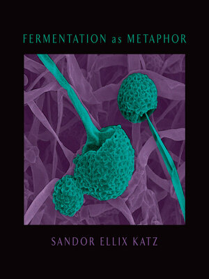 cover image of Fermentation as Metaphor